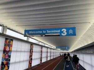 成田国際空港 第３ターミナルへ向かう途中の道